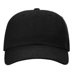 Ashland Recycled Dad Hat